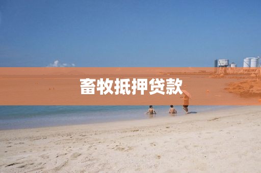 畜牧抵押贷款