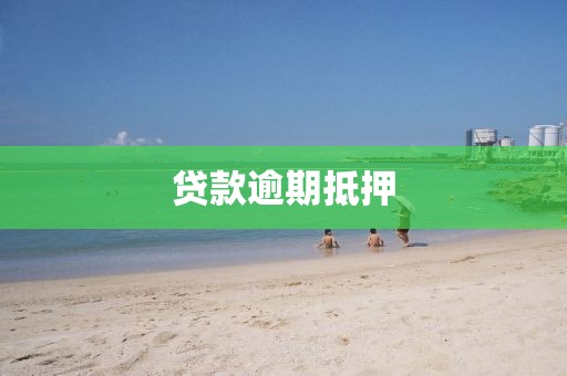 贷款逾期抵押