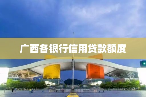 广西各银行信用贷款额度