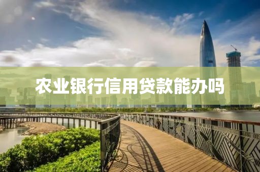 农业银行信用贷款能办吗
