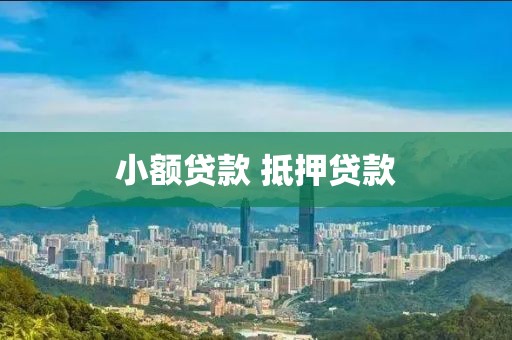 小额贷款 抵押贷款