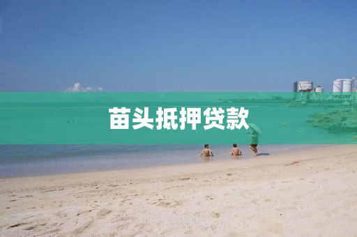 苗头抵押贷款