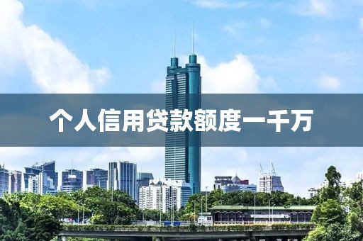 个人信用贷款额度一千万