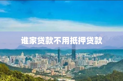 谁家贷款不用抵押贷款