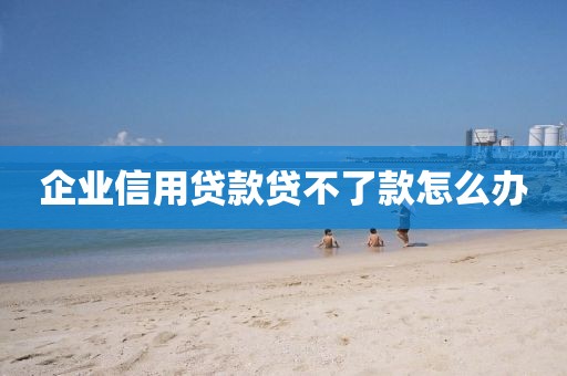 企业信用贷款贷不了款怎么办