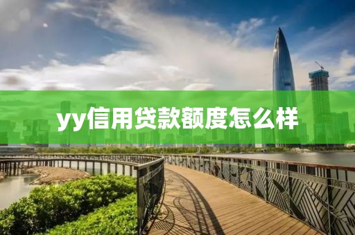yy信用贷款额度怎么样
