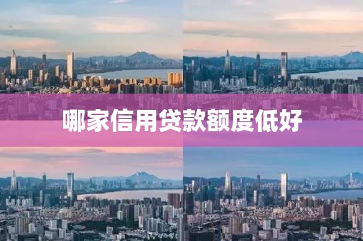 哪家信用贷款额度低好