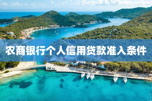 农商银行个人信用贷款准入条件