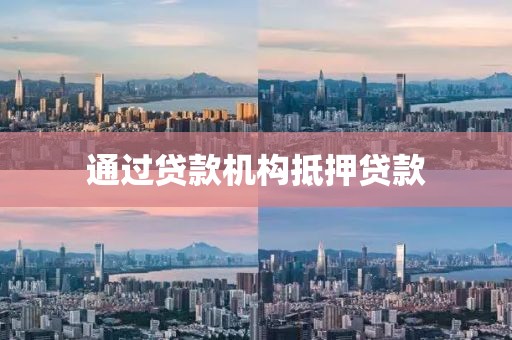 通过贷款机构抵押贷款