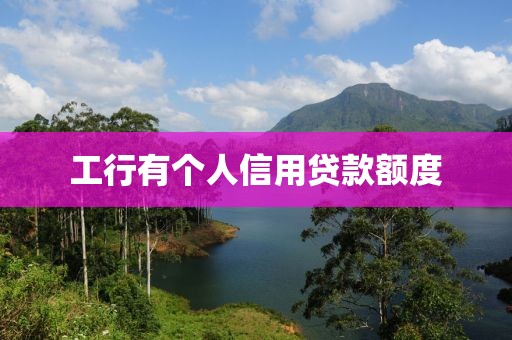 工行有个人信用贷款额度