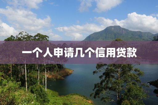 一个人申请几个信用贷款