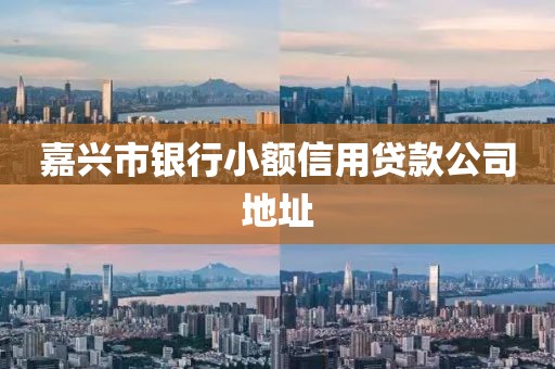 嘉兴市银行小额信用贷款公司地址