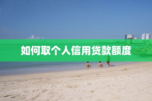 如何取个人信用贷款额度