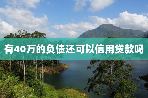 有40万的负债还可以信用贷款吗