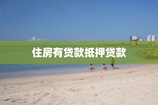 住房有贷款抵押贷款