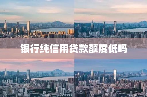银行纯信用贷款额度低吗