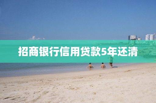 招商银行信用贷款5年还清