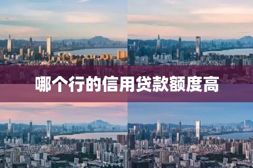 哪个行的信用贷款额度高