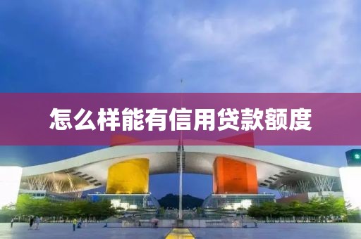 怎么样能有信用贷款额度