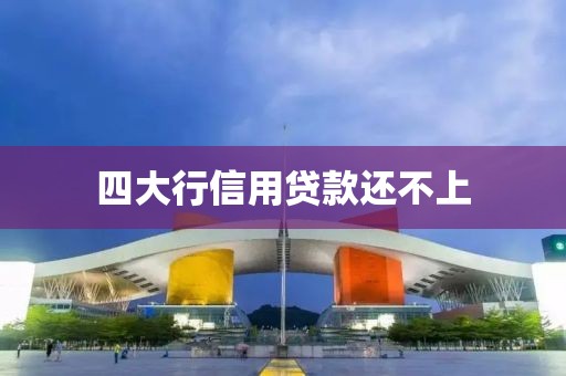 四大行信用贷款还不上
