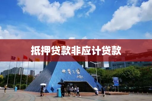 抵押贷款非应计贷款