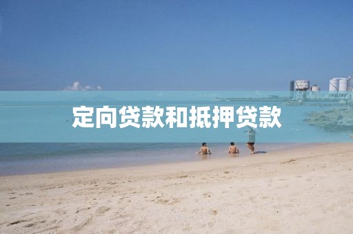 定向贷款和抵押贷款
