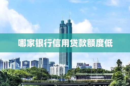 哪家银行信用贷款额度低