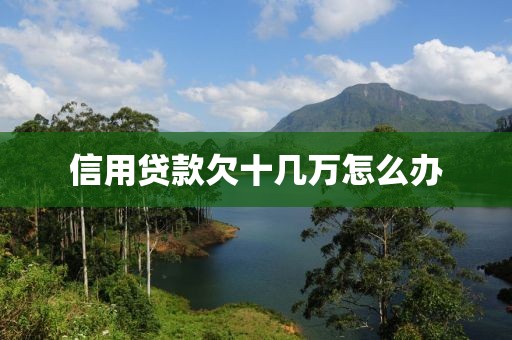 信用贷款欠十几万怎么办