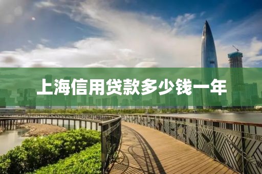 上海信用贷款多少钱一年