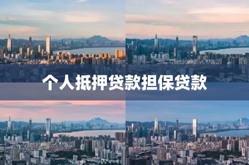 个人抵押贷款担保贷款