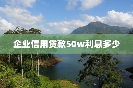 企业信用贷款50w利息多少