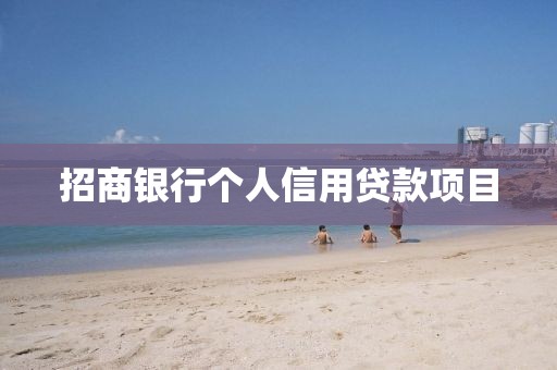 招商银行个人信用贷款项目