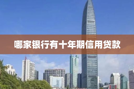 哪家银行有十年期信用贷款