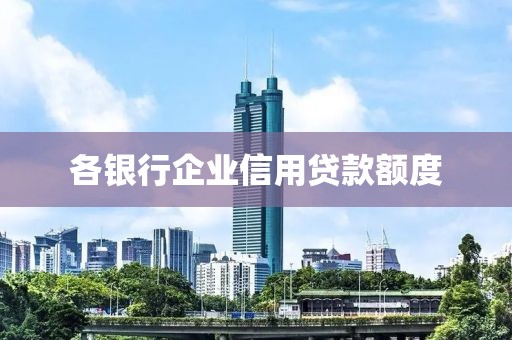 各银行企业信用贷款额度