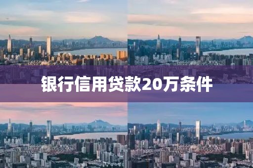 银行信用贷款20万条件