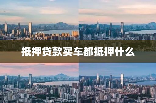 抵押贷款买车都抵押什么