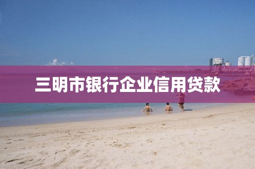 三明市银行企业信用贷款