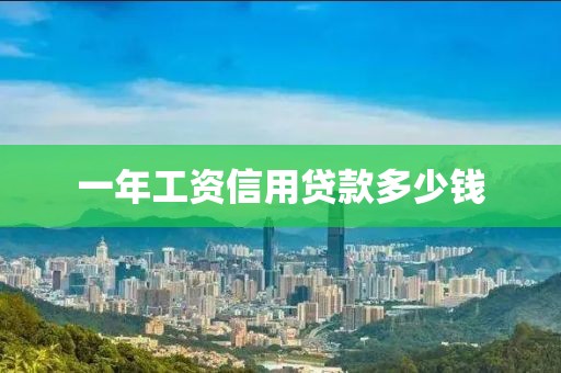 一年工资信用贷款多少钱