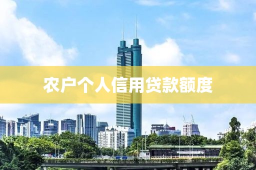 农户个人信用贷款额度