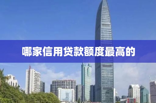 哪家信用贷款额度最高的