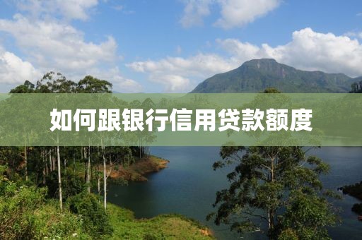 如何跟银行信用贷款额度