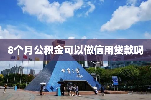8个月公积金可以做信用贷款吗