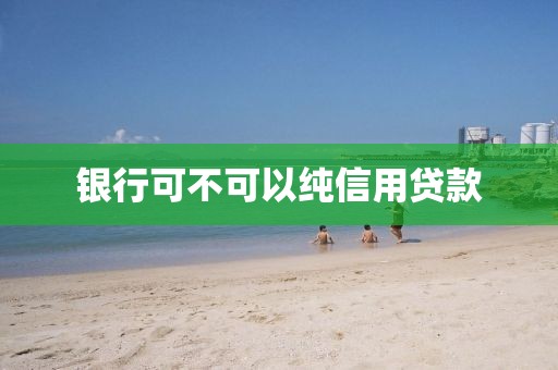 银行可不可以纯信用贷款