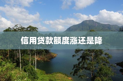 信用贷款额度涨还是降