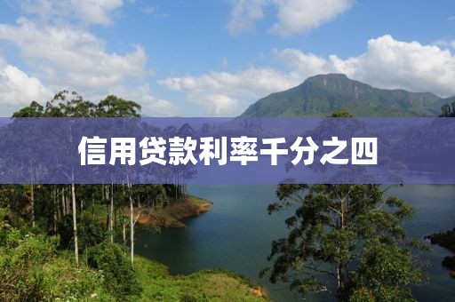 信用贷款利率千分之四