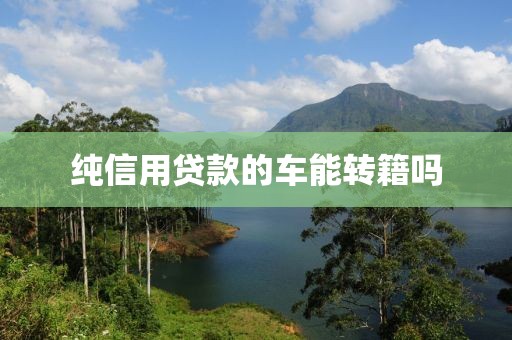 纯信用贷款的车能转籍吗