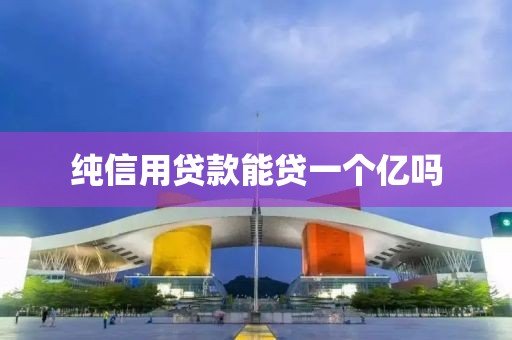 纯信用贷款能贷一个亿吗