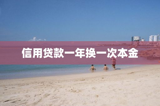 信用贷款一年换一次本金