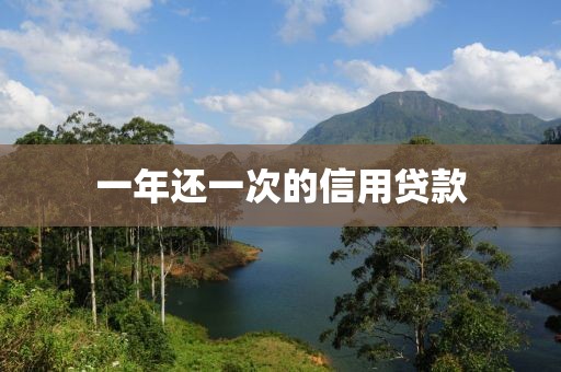 一年还一次的信用贷款