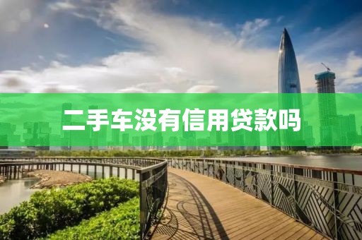 二手车没有信用贷款吗